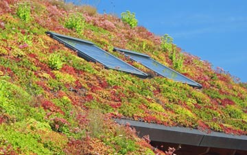 Scaling living roof systems