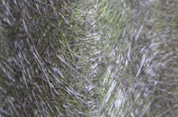 Scaling fibreglass roof work